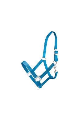 Kantar CANTER CLUB Basis taśmowy turkusowy.jpg