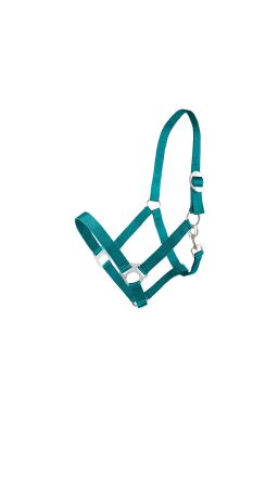 Kantar CANTER CLUB Basis taśmowy butelkowa zieleń.jpg