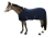 Derka_CANTER_CLUB_polarowa_VELLERA_granatowa-removebg-preview.png