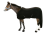 Derka_CANTER_CLUB_VELLERA_polarowa_czarna-removebg-preview.png