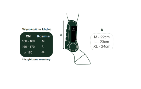 Tabela rozmiarów GATUSOS ochraniacze Delux.png