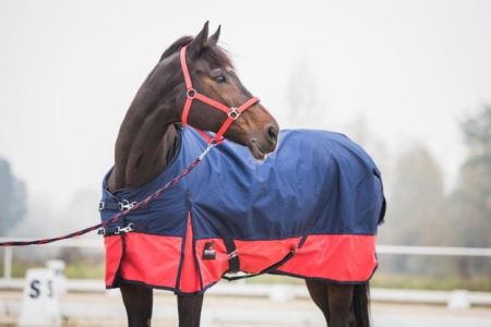 Derka padokowa START 2-tone 0g 600d podszyta czarno-czerwona