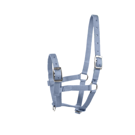 Kantar HORZE Basic na źrebię jasnoniebieski