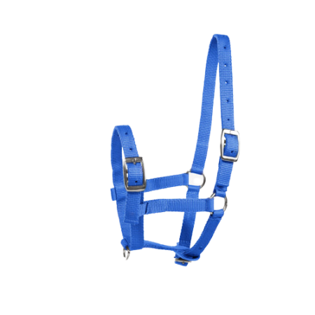 Kantar HORZE Basic na źrebię niebieski