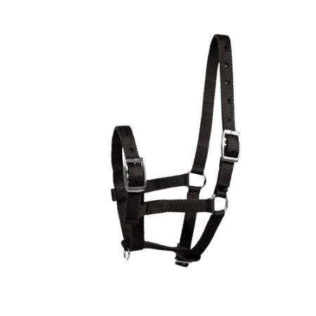 Kantar HORZE Basic na źrebię czarny