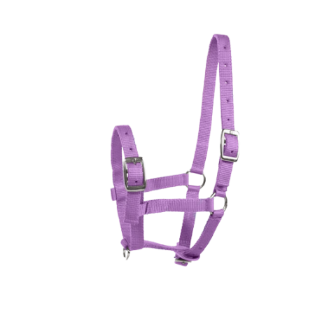 Kantar HORZE Basic na źrebię purpurowy