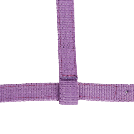 Kantar HORZE Basic na źrebię purpurowy