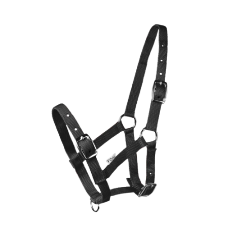 Kantar START na źrebię czarny