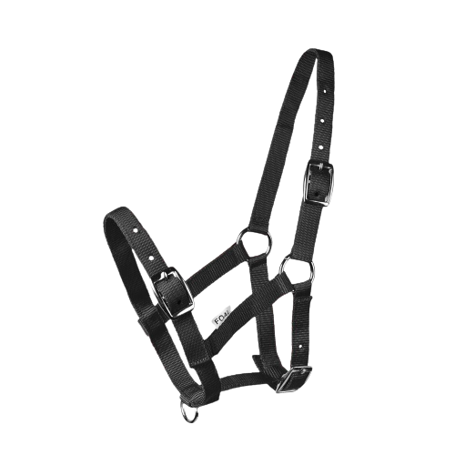 Przejdź do produktu Kantar START na źrebię czarny