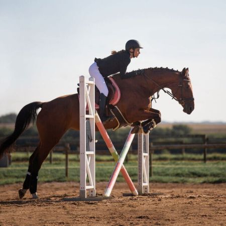 Popręg  HORZE skokowy Atlanta ciemnobrązowy  23.jpg