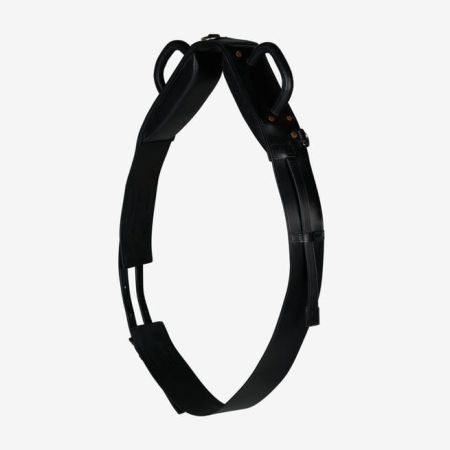 Pas HORZE woltyżerski Voltige.jpeg