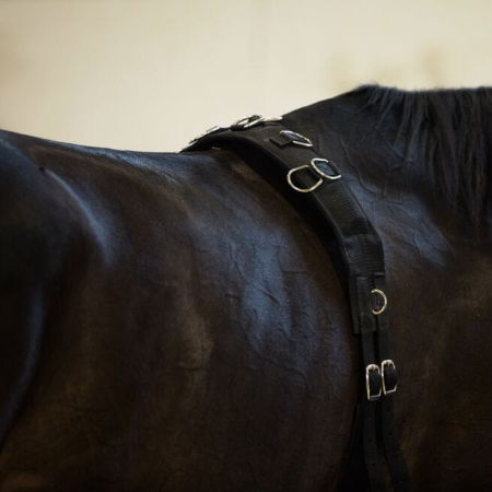 Pas HORZE do lonżowania nylonowy 2.jpg