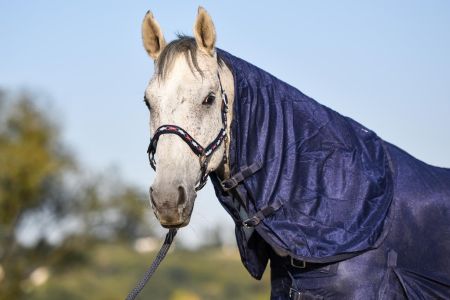 Derka siatkowa START Combo z szyją +belly granatowa
