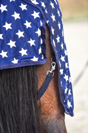 Derka siatkowa START Stars