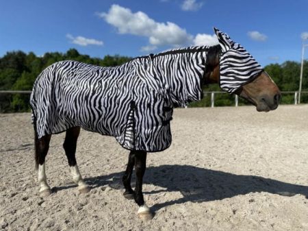 Derka siatkowa START Zebra z szyją +belly