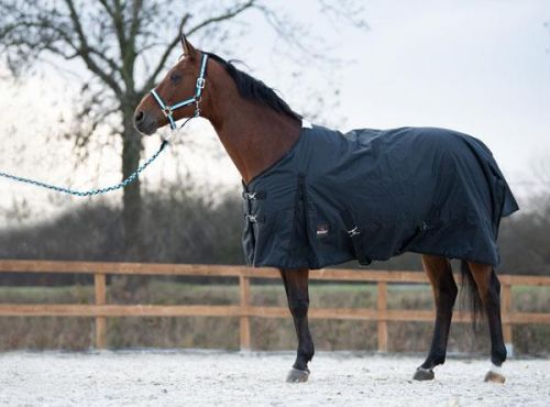 Przejdź do produktu Derka padokowa START 1-tone 200g 600d z polarem czarna