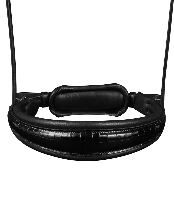 Double Bridle Magic 2.png