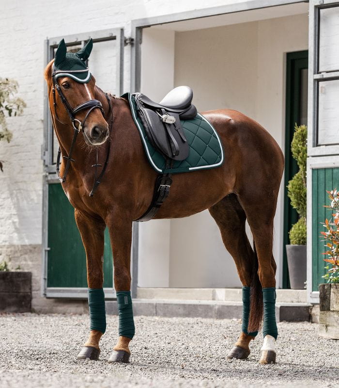 Competition DR zielony 1.jpg