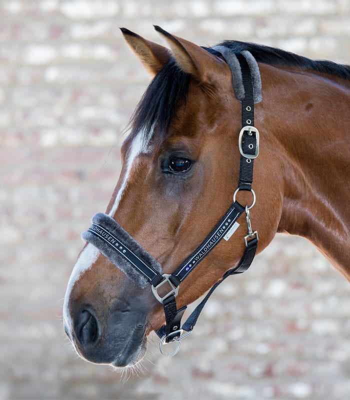 Elegant halter czarny 2.jpg
