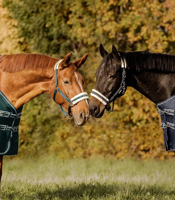 Elegant halter zielony 2.jpg