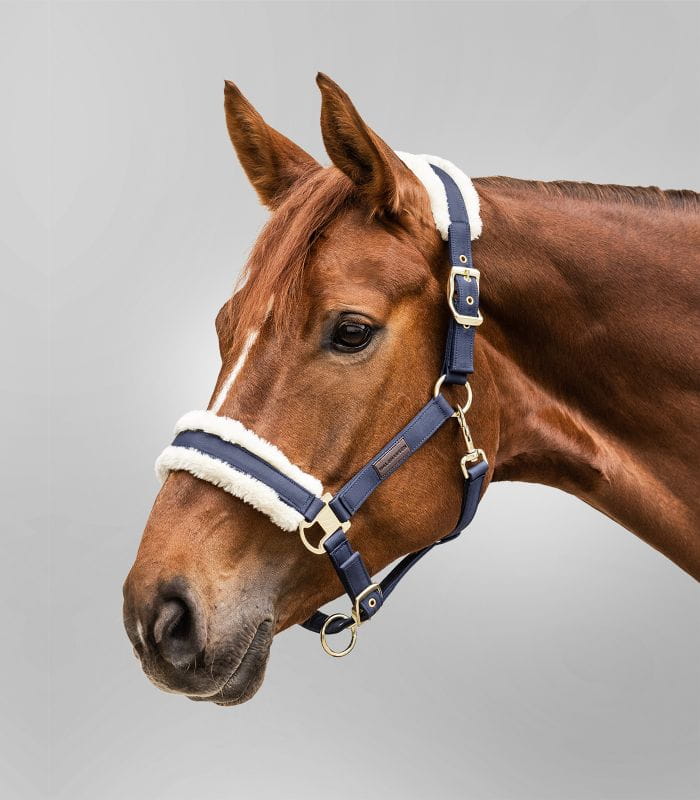 Exclusive granat 2.jpg