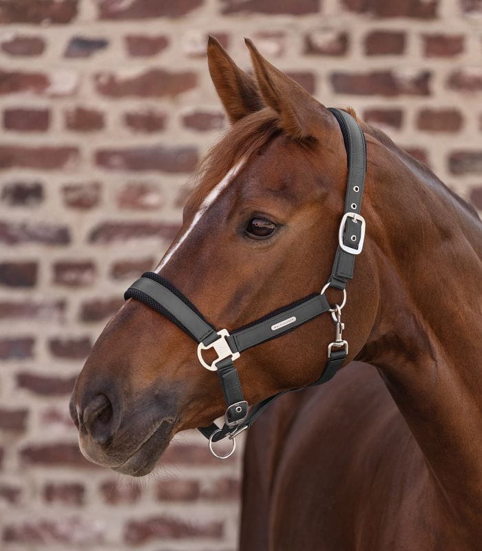 Breath antracytowy 2.jpg