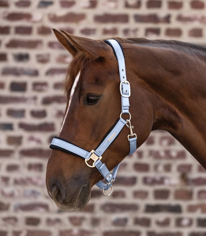 Breath błękitny 2.jpg