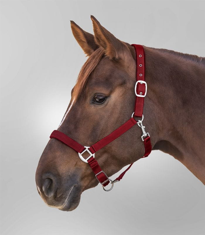 Halter Satin burgund 2.png
