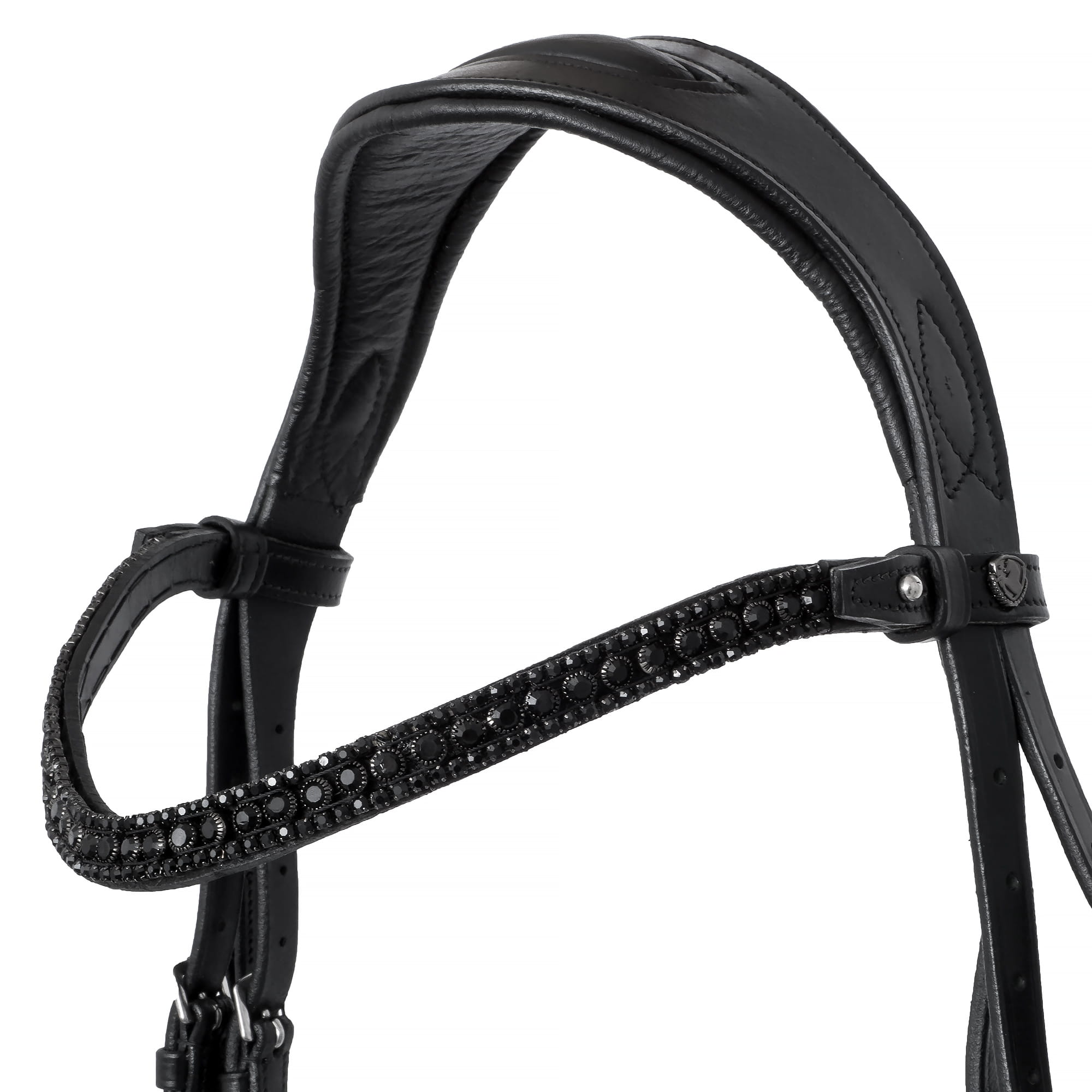 EQ.QUEEN Giant 2.jpg