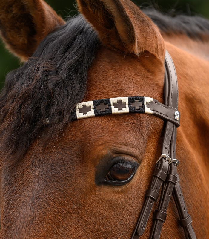 X-Line Browband 2.jpg