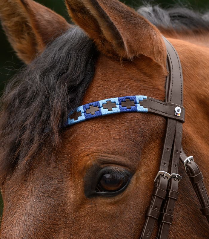 Polo niebieski 2.jpg