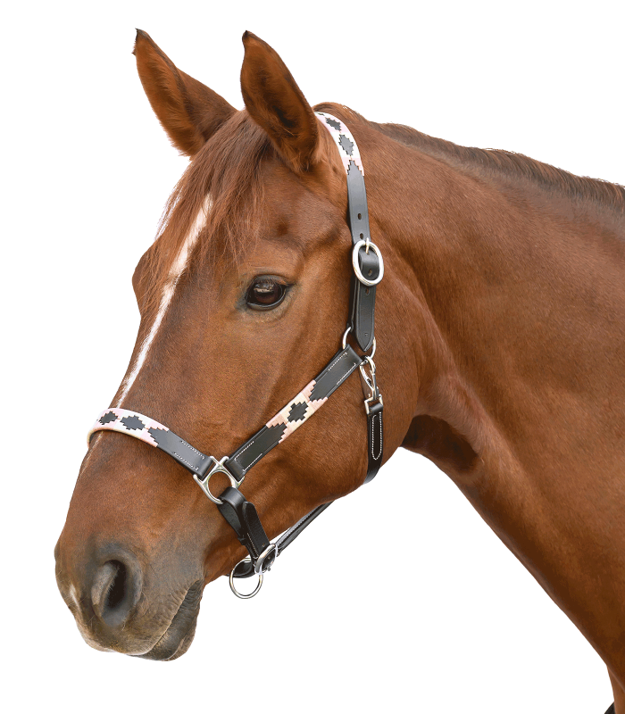 Polo róż 2.png