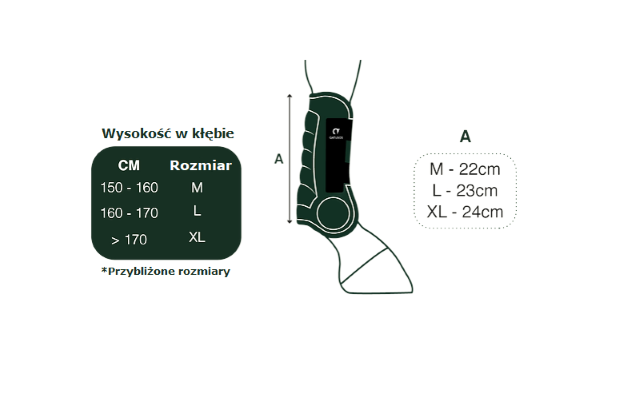 Tabela rozmiarów GATUSOS ochraniacze Delux.png
