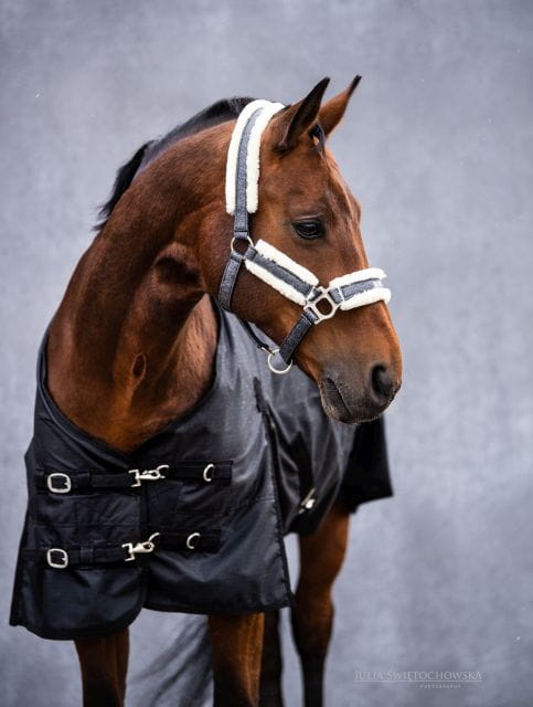 Derka padokowa START 1-tone 0g 600d z nylonem czarna