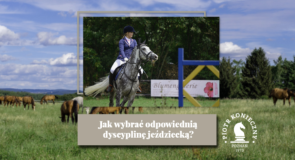 Jak wybrać odpowiednią dyscyplinę jeździecką