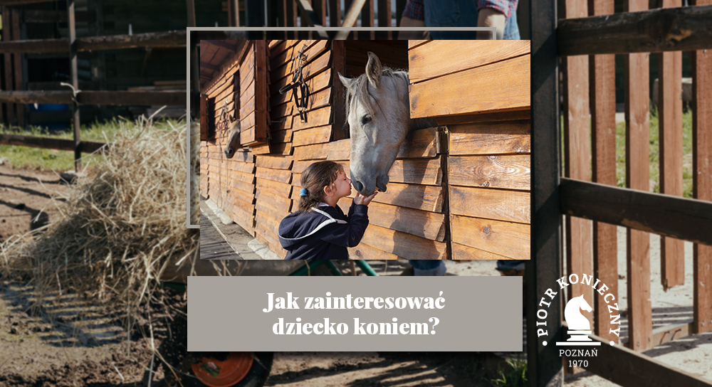 Jak zainteresować dziecko koniem?